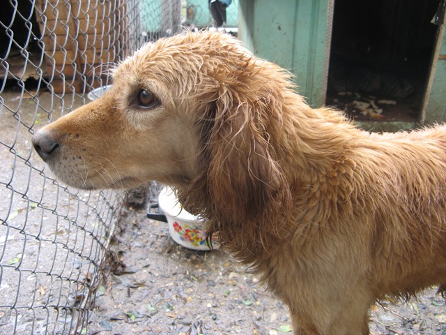 AWF discussion forum expands for 30th anniversary